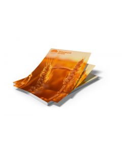 Reklameflyer i flot design – effektiv markedsføring med tryk på én side til events, tilbud og budskaber