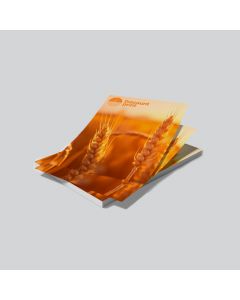 Reklameflyer i flot design – effektiv markedsføring med tryk på én side til events, tilbud og budskaber