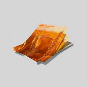 Reklameflyer i flot design – effektiv markedsføring med tryk på én side til events, tilbud og budskaber